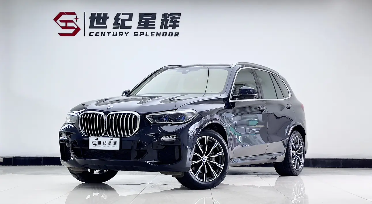 BMW X5 IV (G05/G18)