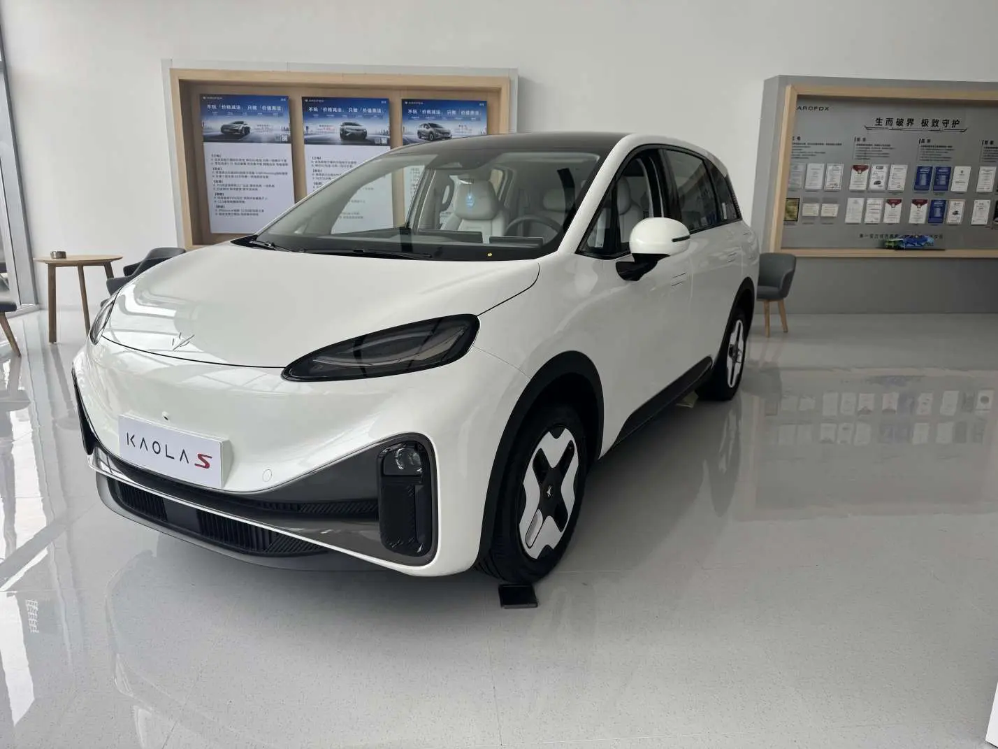 Arcfox Extreme Fox Arctic Fox Koala S №19711961 2025