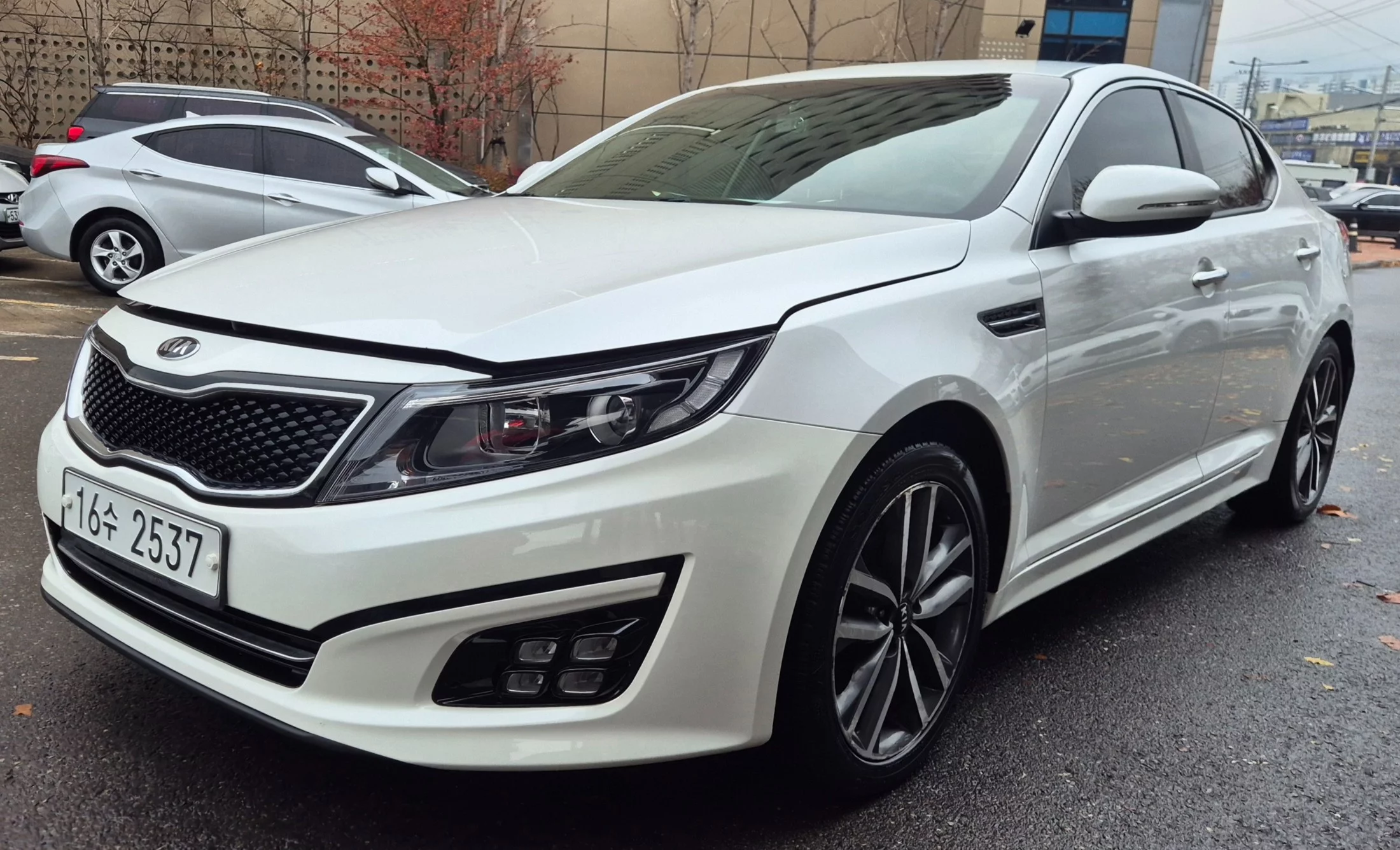 Kia K5 (Киа Оптима) Luxury Trendy 2013