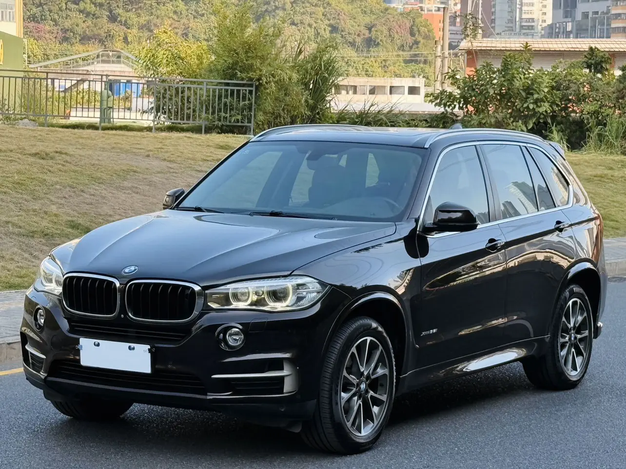 BMW X5 III (F15)