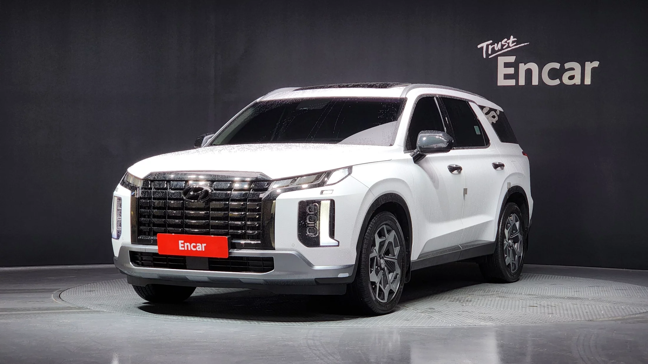 Hyundai Palisade Diesel 2.2 4Wd Exclusive 2023