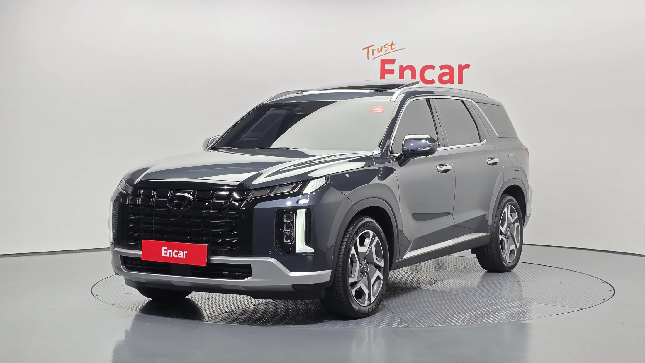 Hyundai Palisade Gasoline 3.8 2Wd Le Blanc 2024