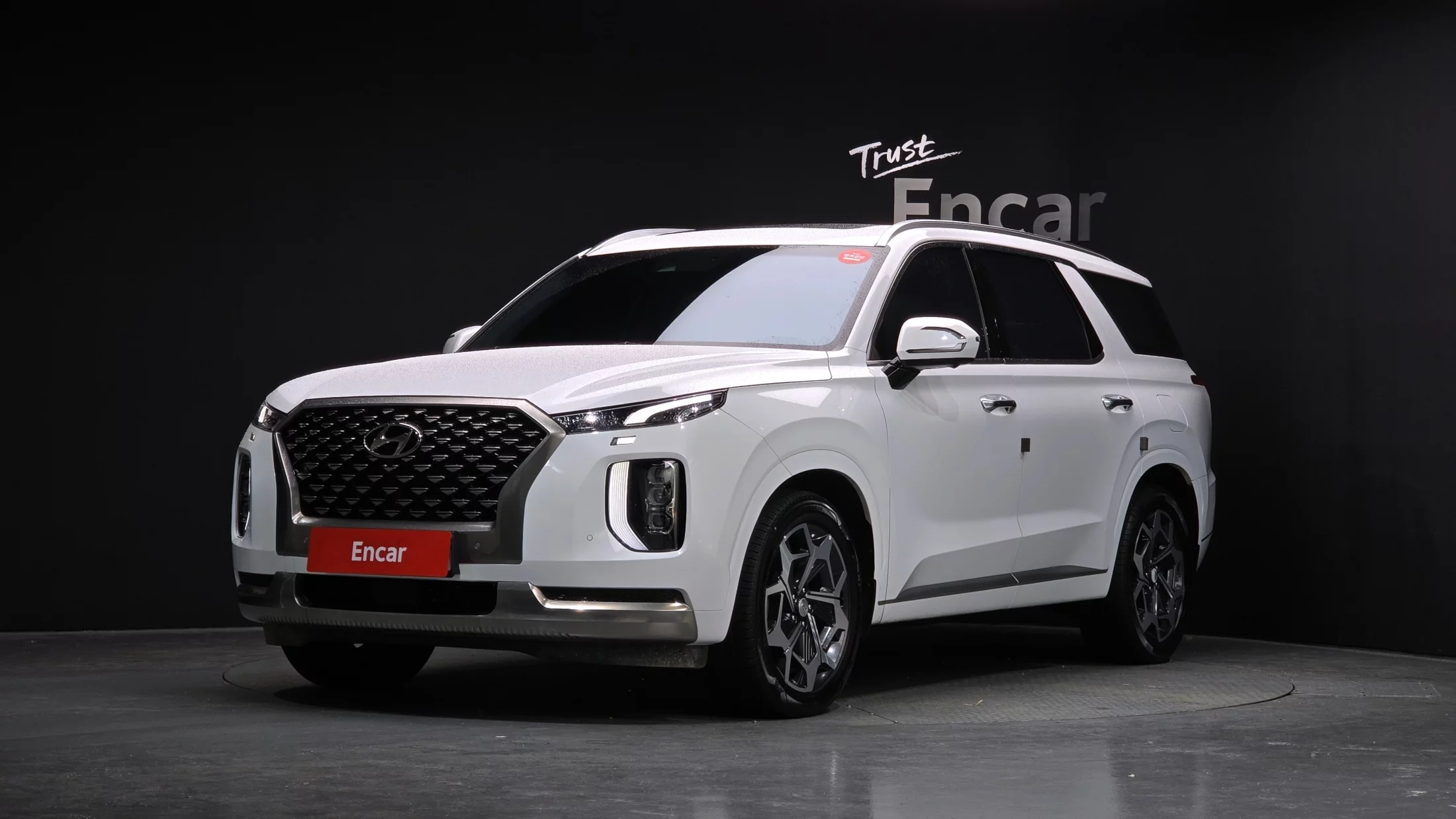Hyundai Palisade Diesel 2.2 4Wd Calligraphy 2021