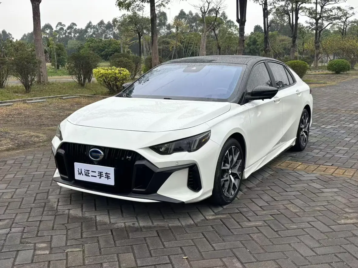 Gac Shadow Leopard №20055416 2023