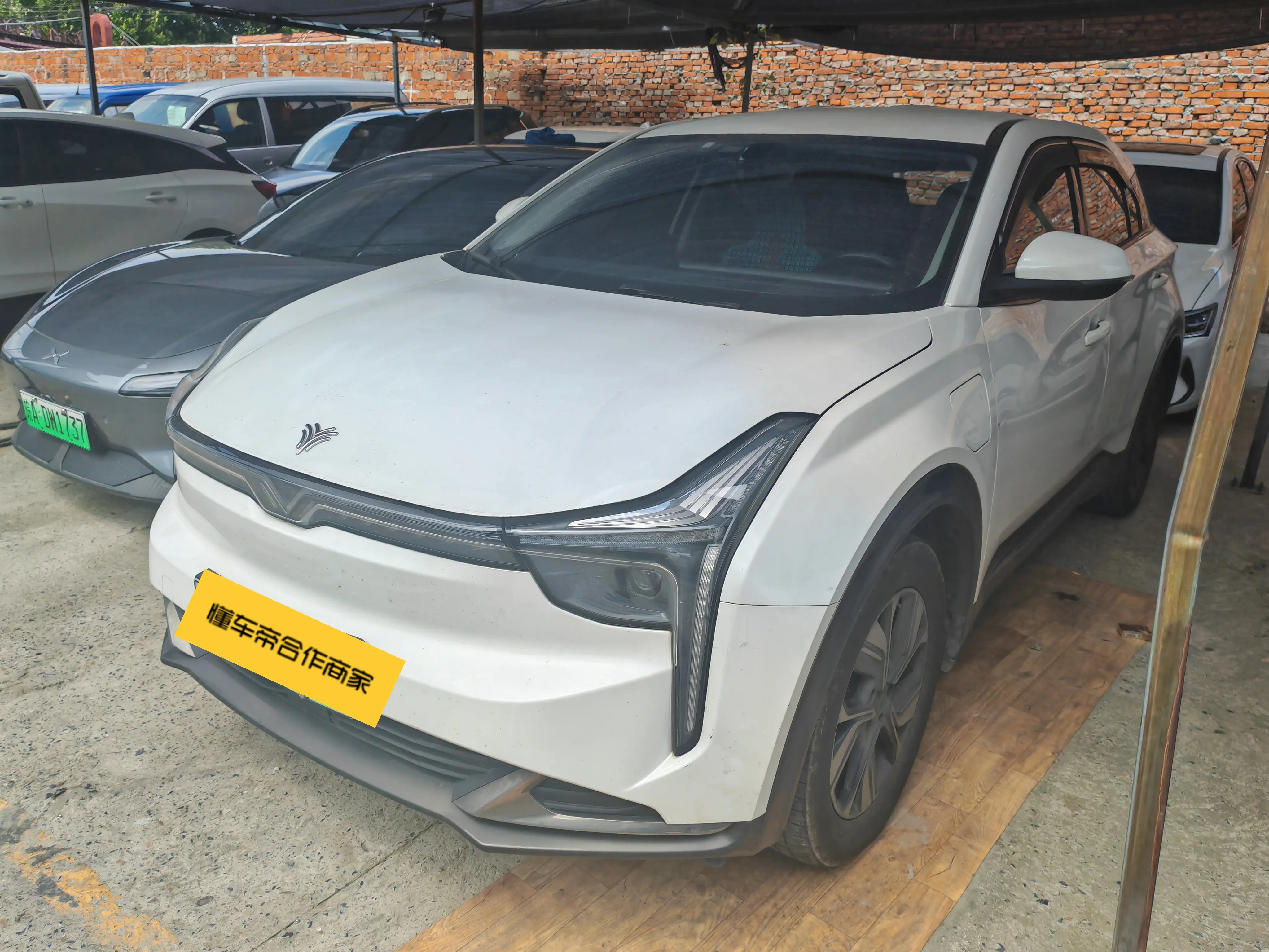 Neta Nezhau №20142719 2023