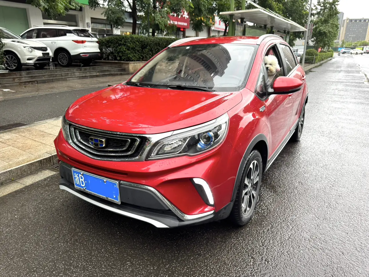 Geely Vision X3 I