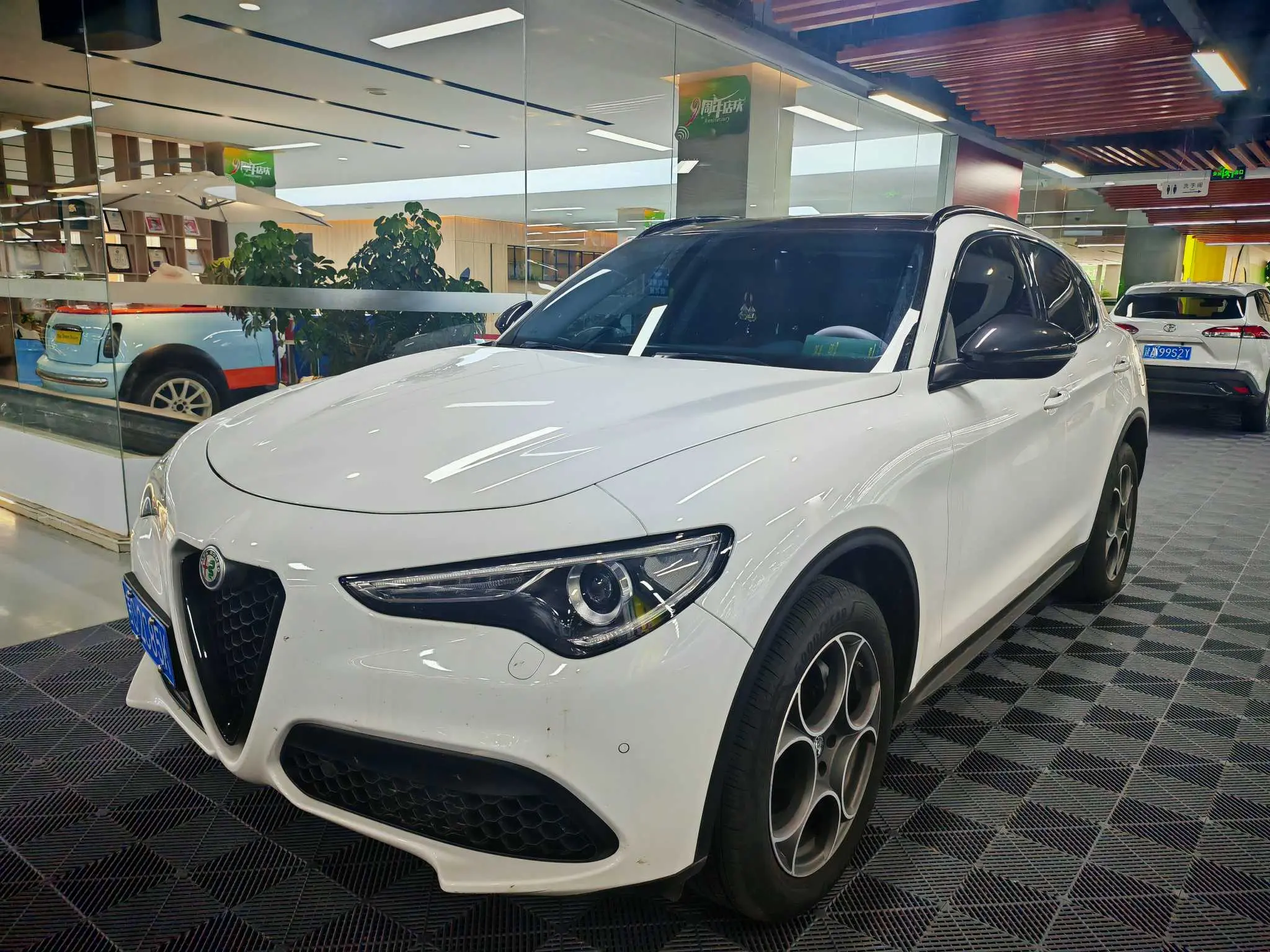 Alfa Romeo 6