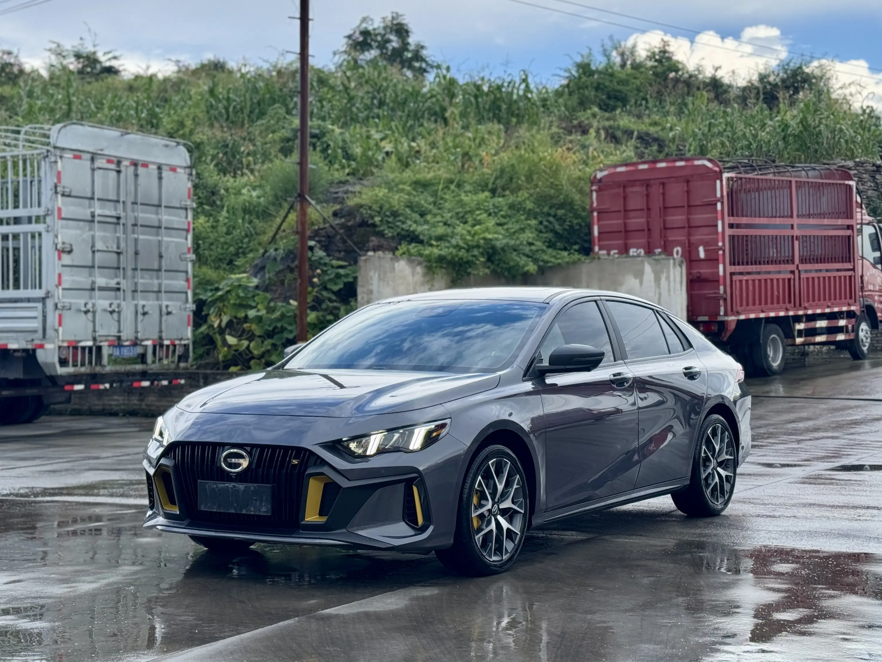 Gac Shadow Leopard №20199324 2023