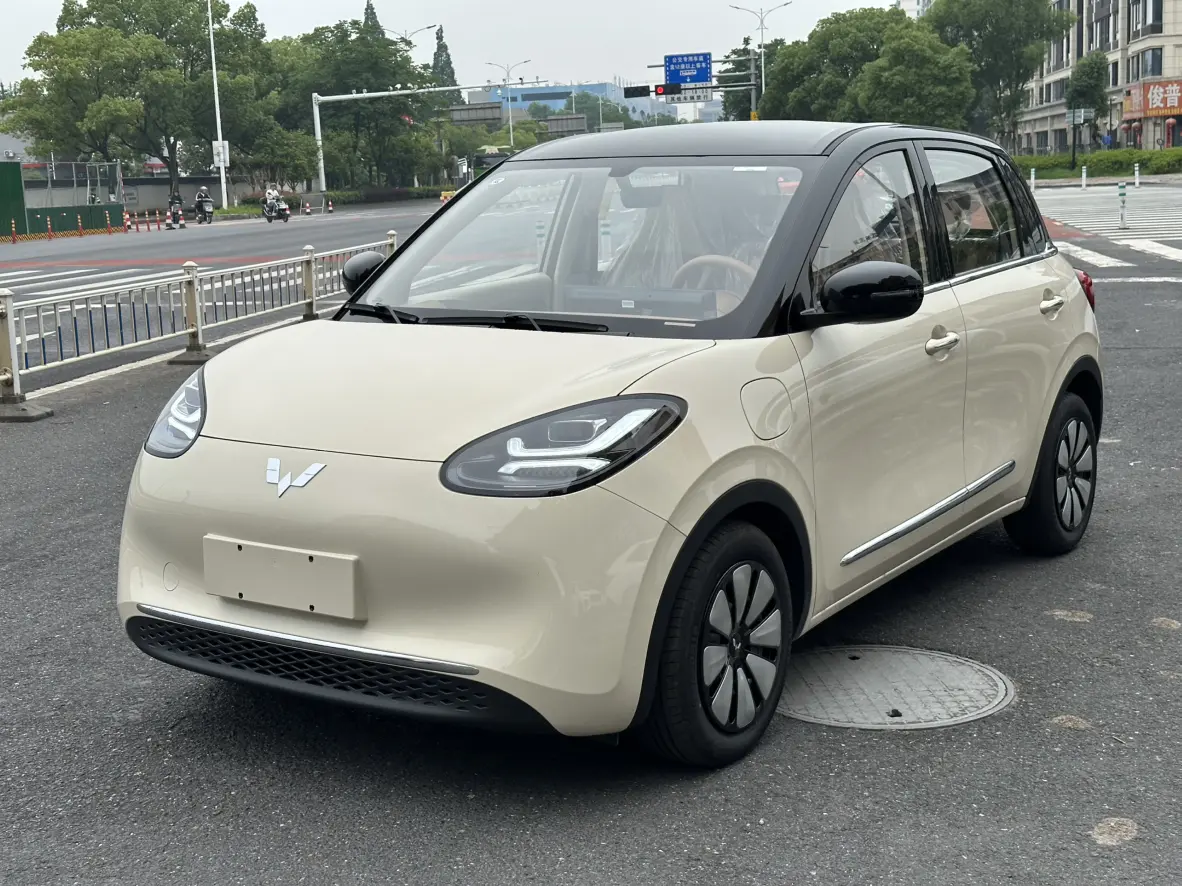 Wuling Bingo №20212791 2025