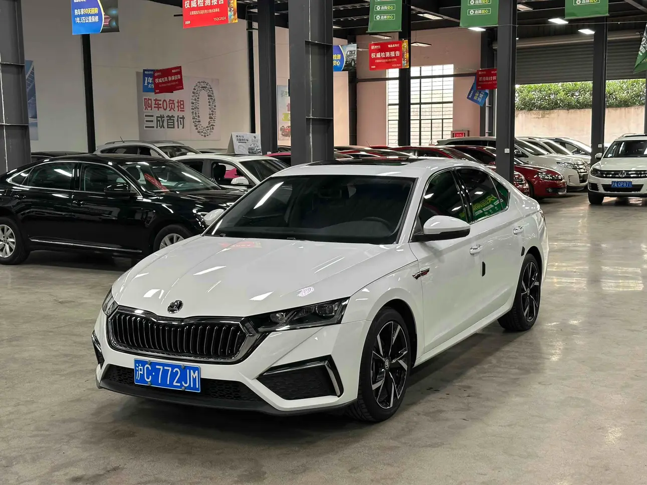 Skoda Octavia №20255888 2024