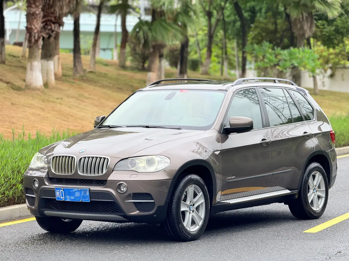 BMW X5 III (F15)