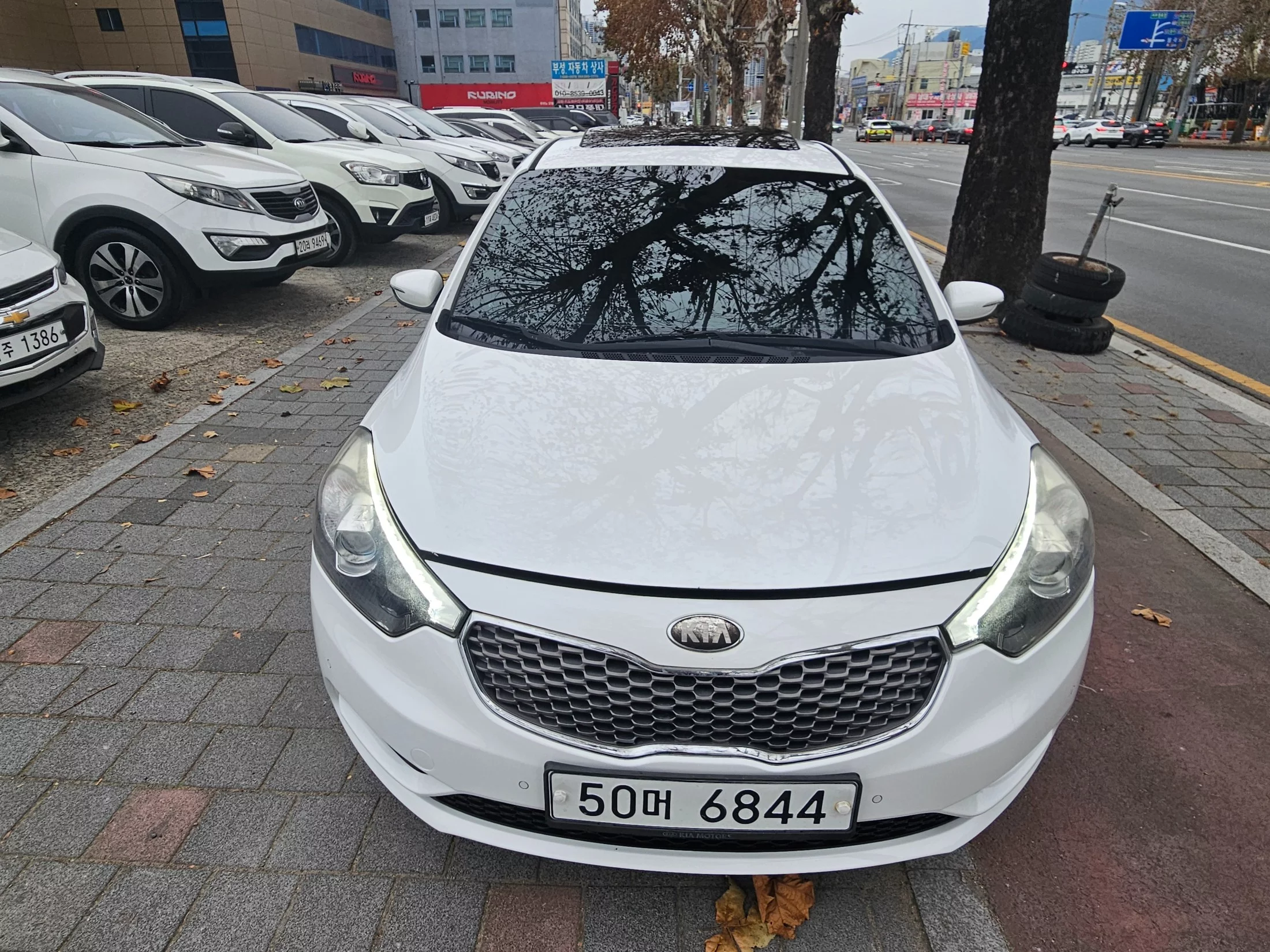 Kia K3 2013