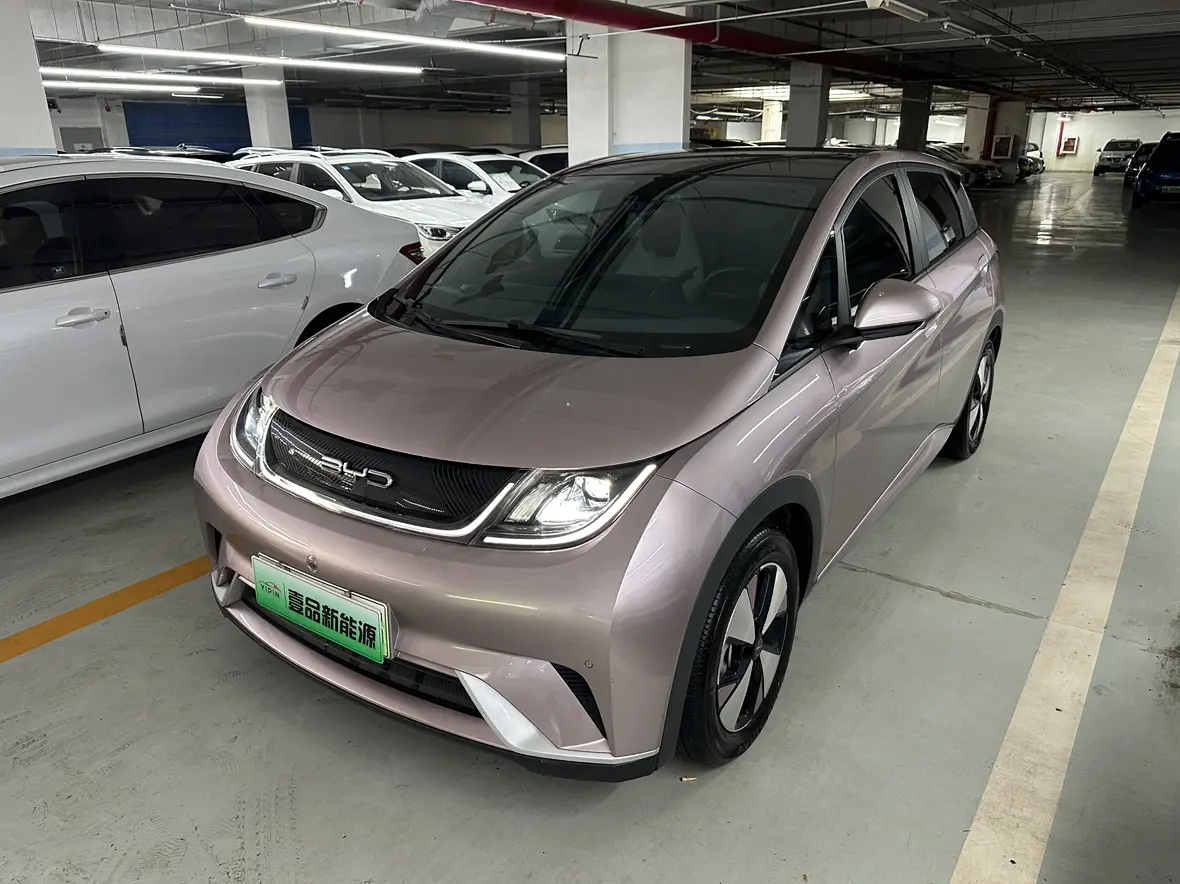 BYD Dolphin I