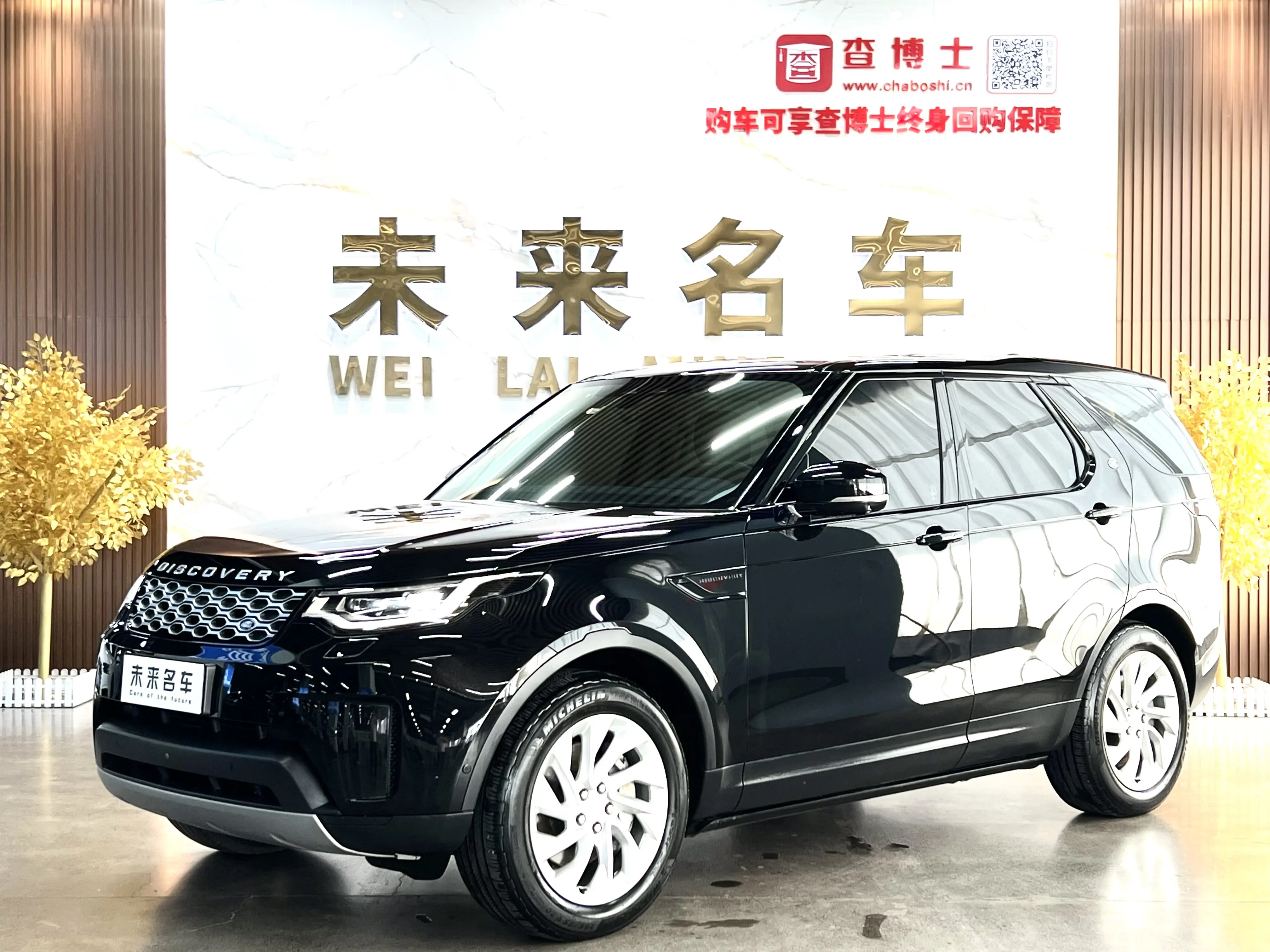 Land Rover Discover №20404337 2021