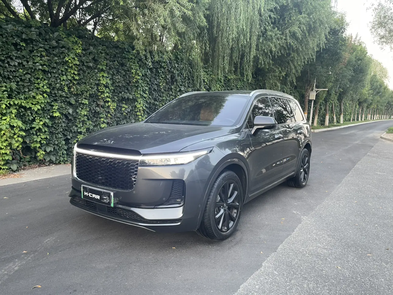 Li Ideal One №20117661 2022