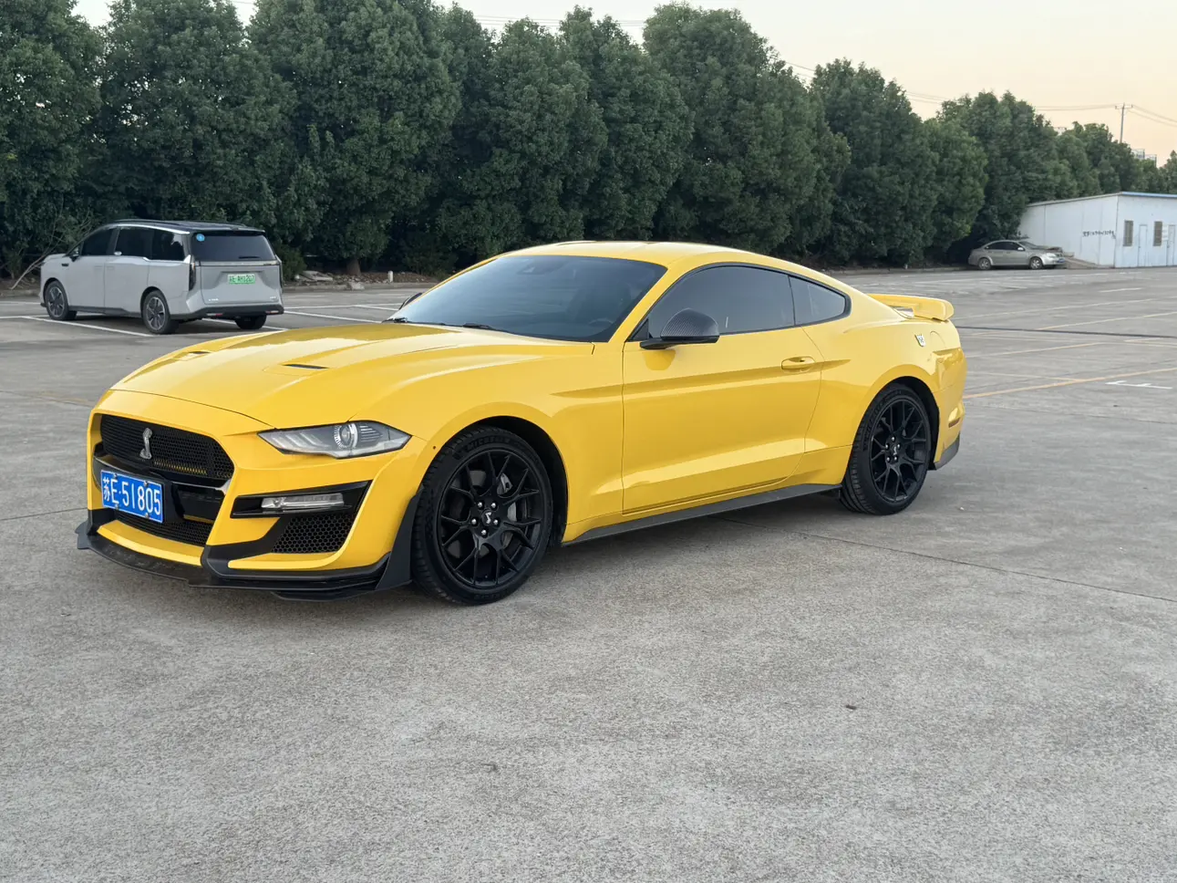 Ford Mustang №17792231 2019