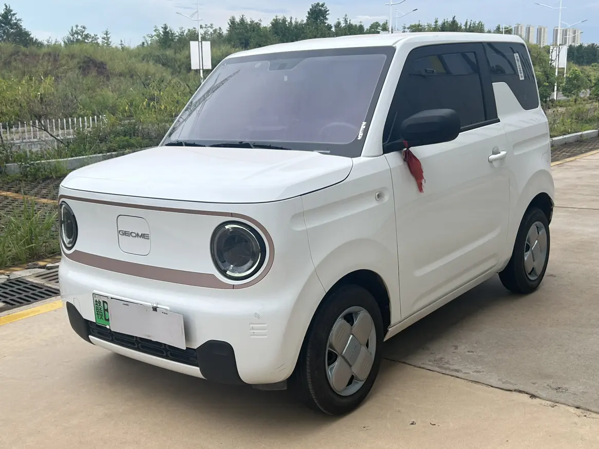 Geely Panda №20445582 2024