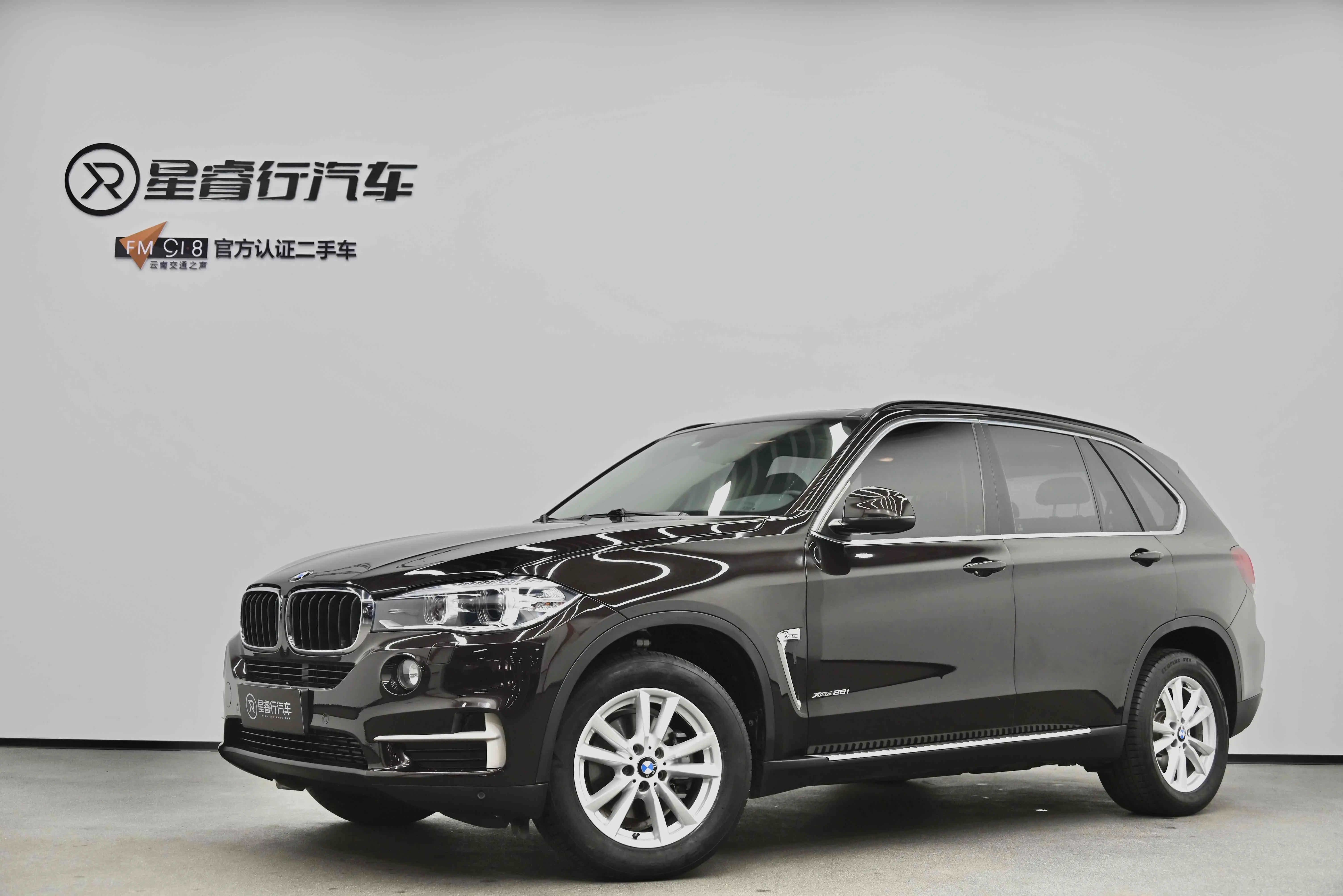 BMW X5 III (F15)