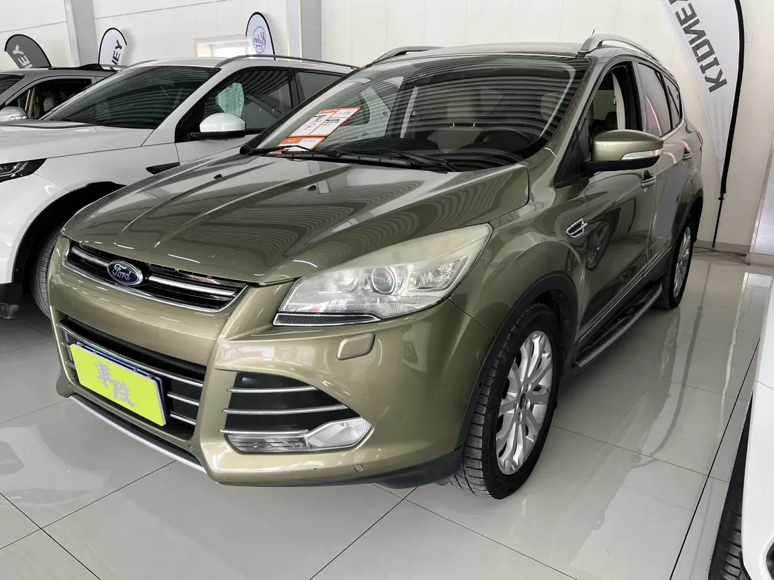 Ford Wing Tiger №20531099 2014