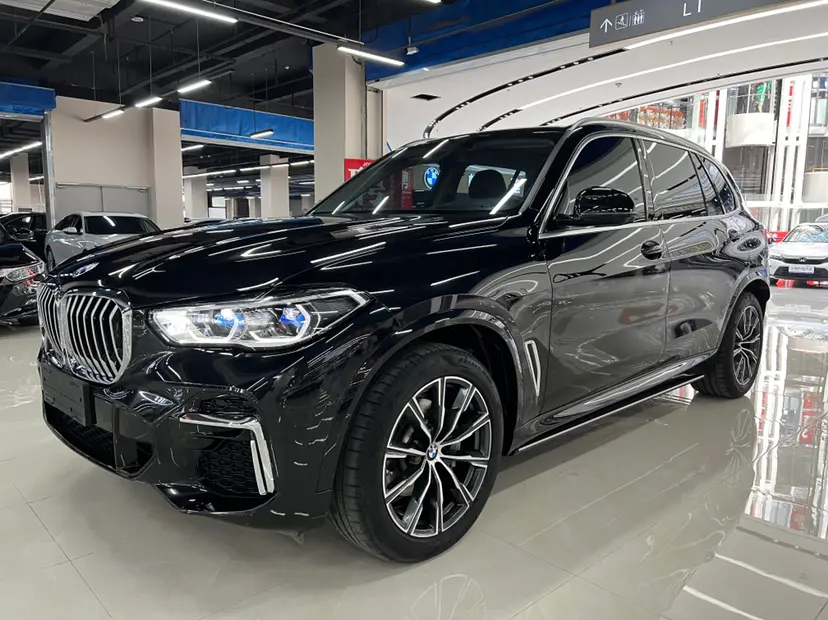 BMW X5 IV (G05/G18)