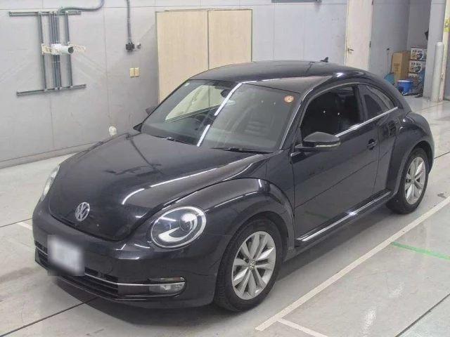 Volkswagen The Beetle