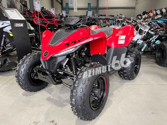 CFMoto CFORCE 110