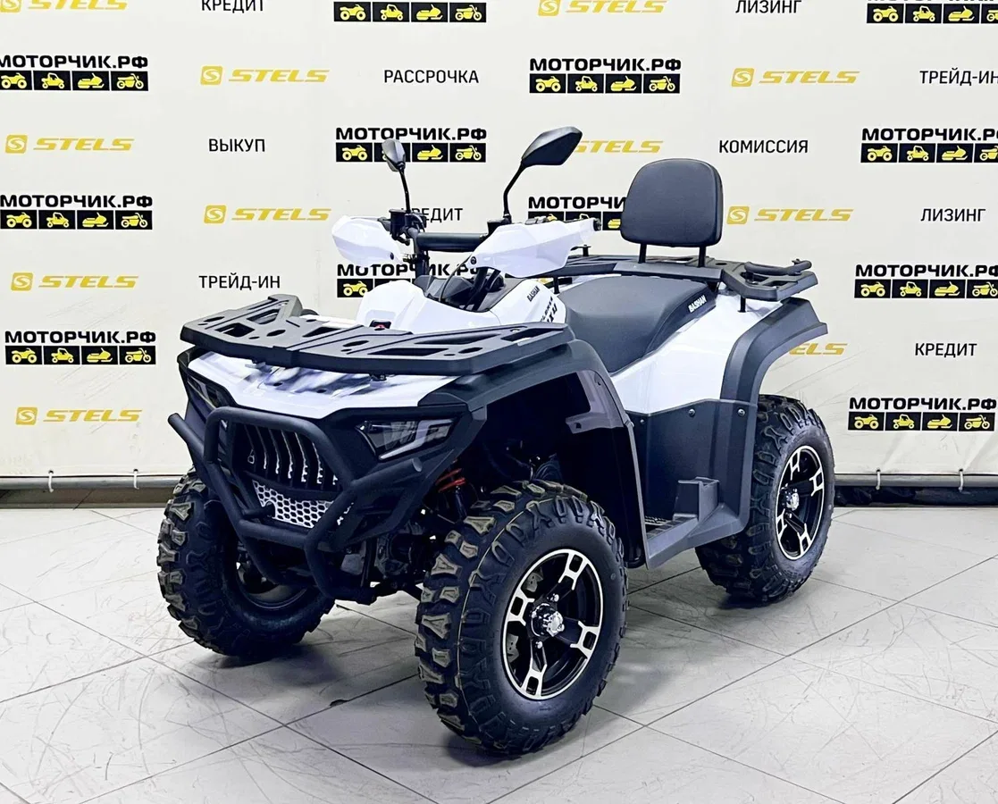 Bashan Explorer 320