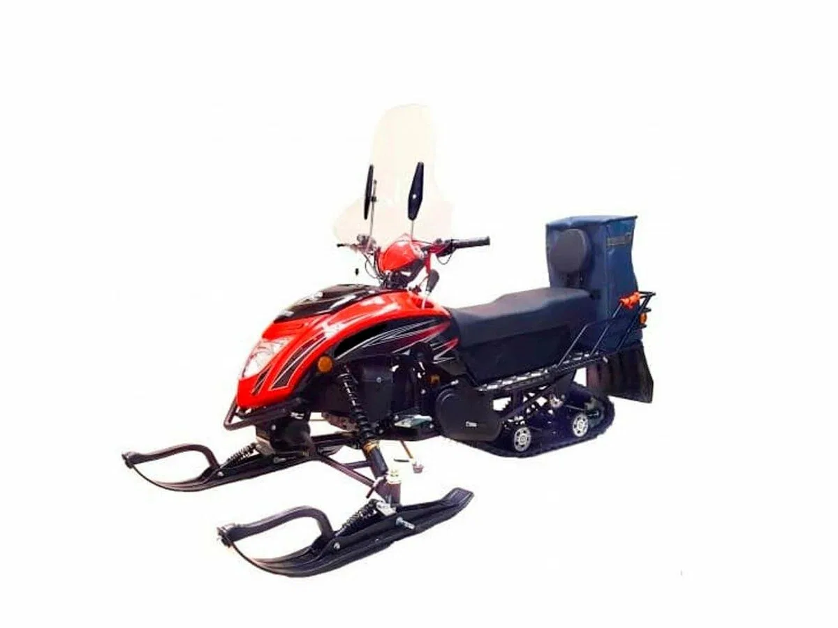 Regulmoto Raccoon