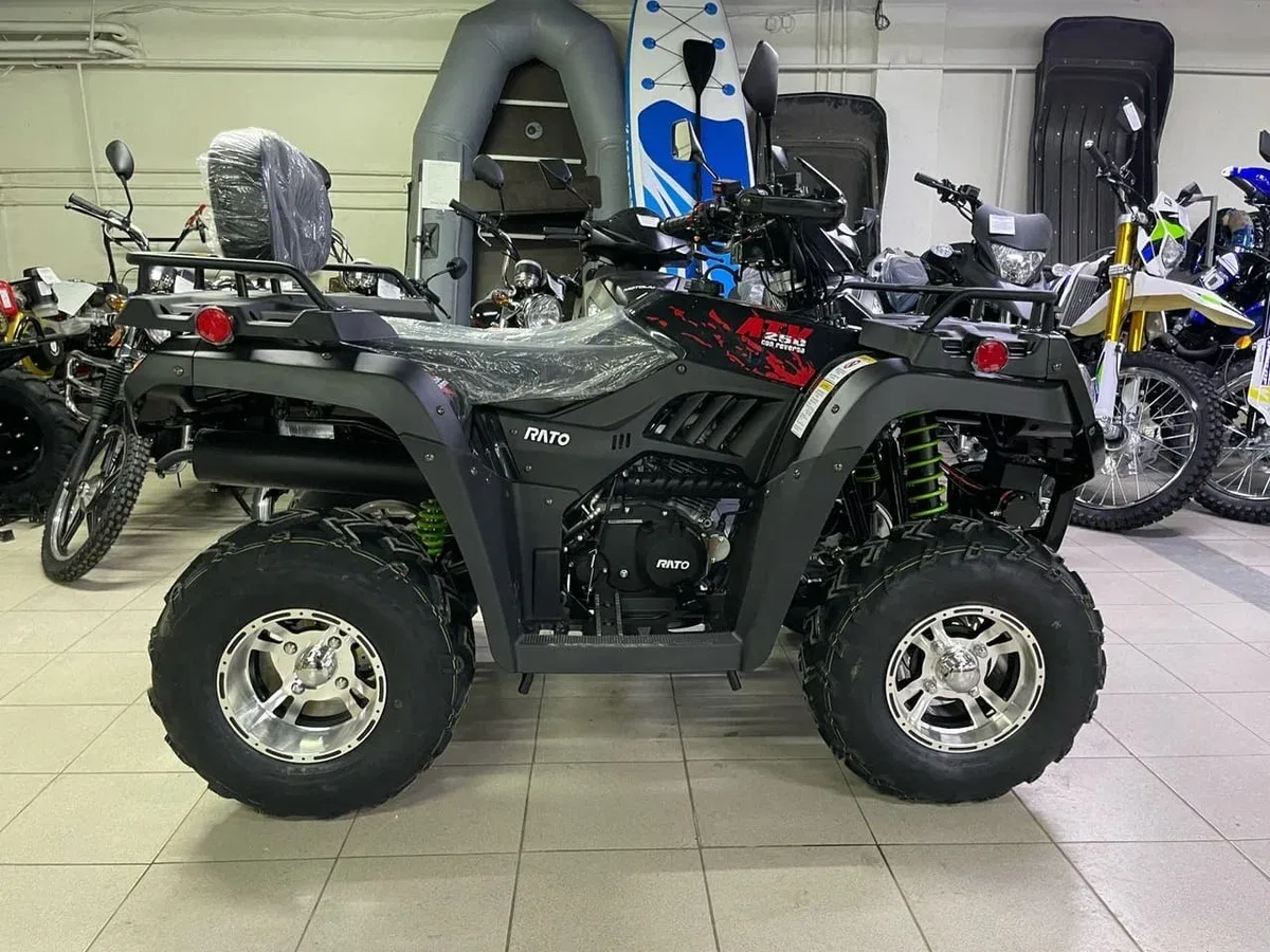 Rato Rush 250