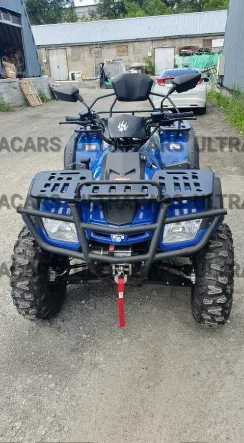 IRBIS ATV 300U