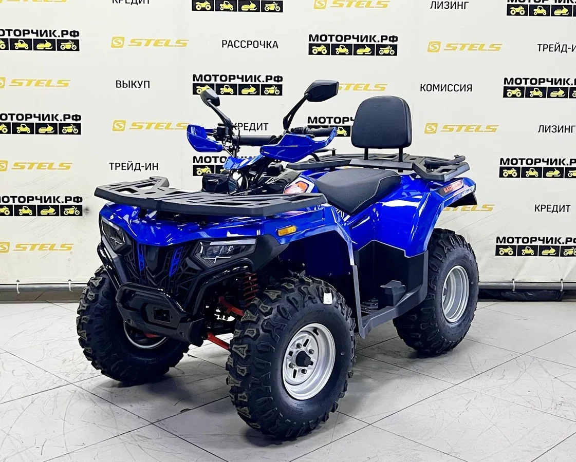Bashan Explorer 300