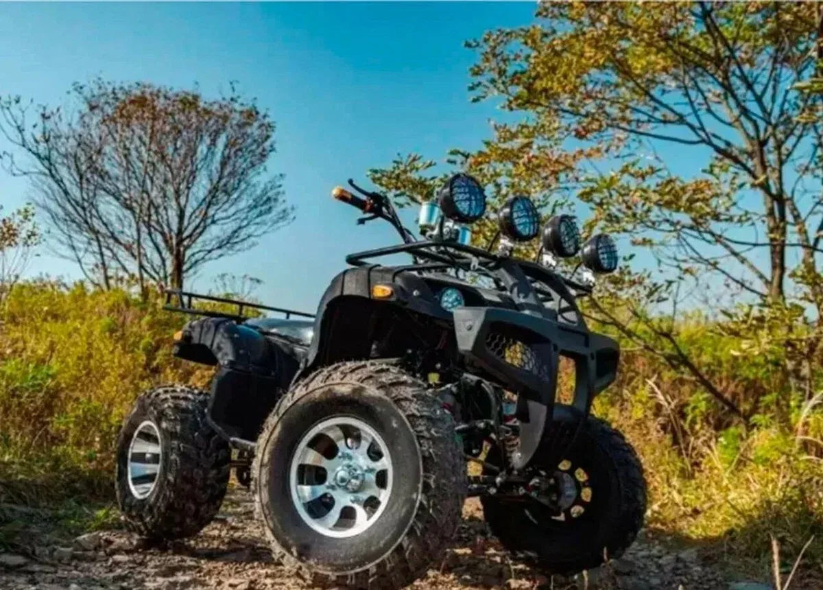 Tiger Sport 250