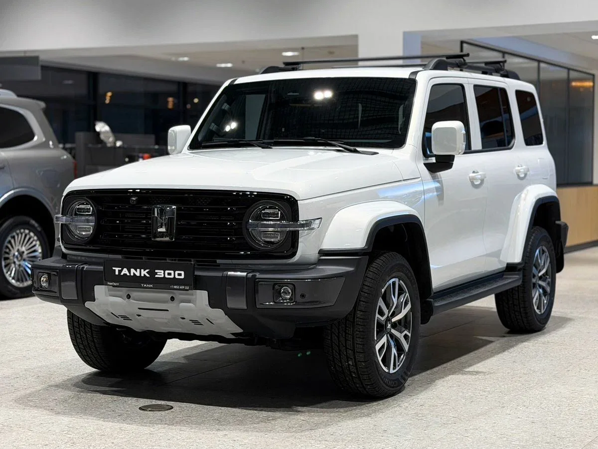Tank 300 I