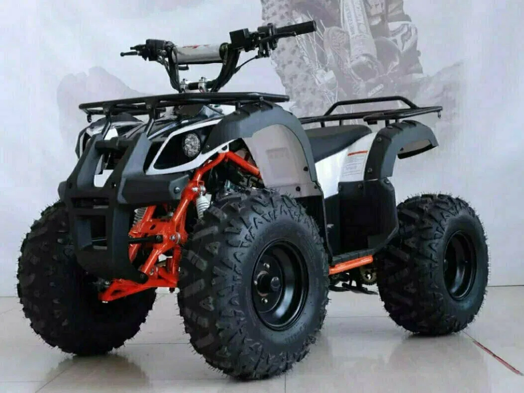 Kayo Bull Mini