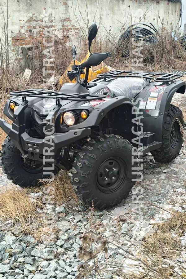 Baltmotors Striker 400 EFI