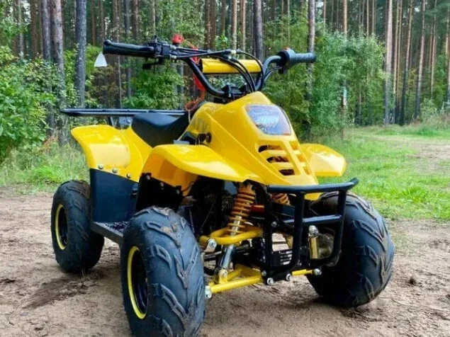 Avantis Classic 6
