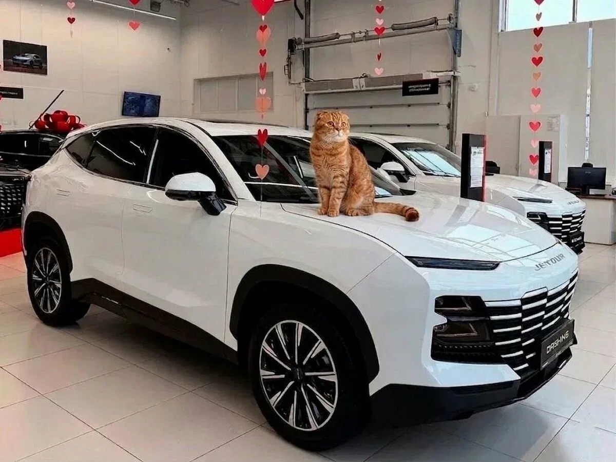 JETOUR DASHING I