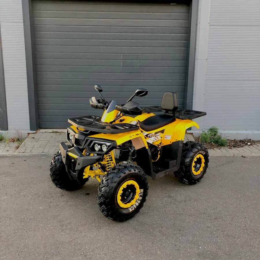 Motoland Wild Track 200