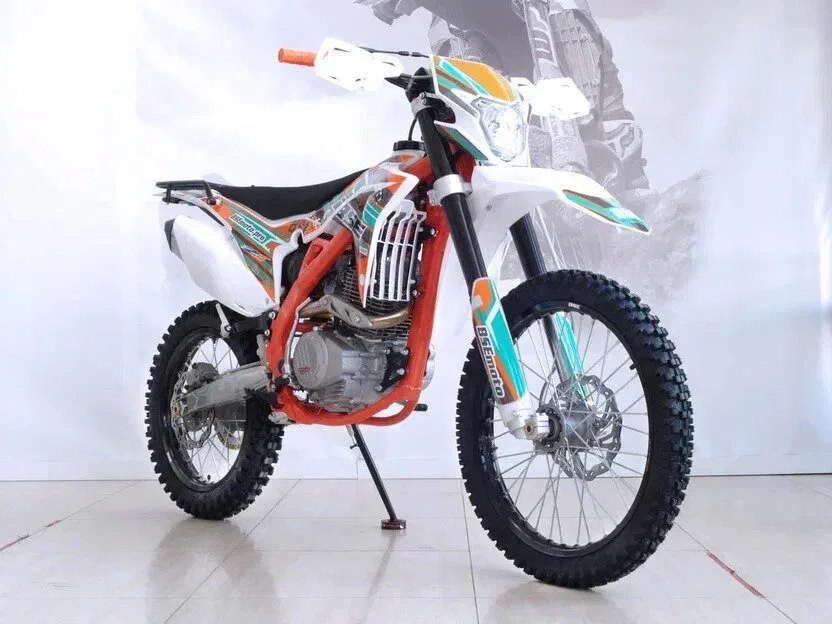 BSE Z6