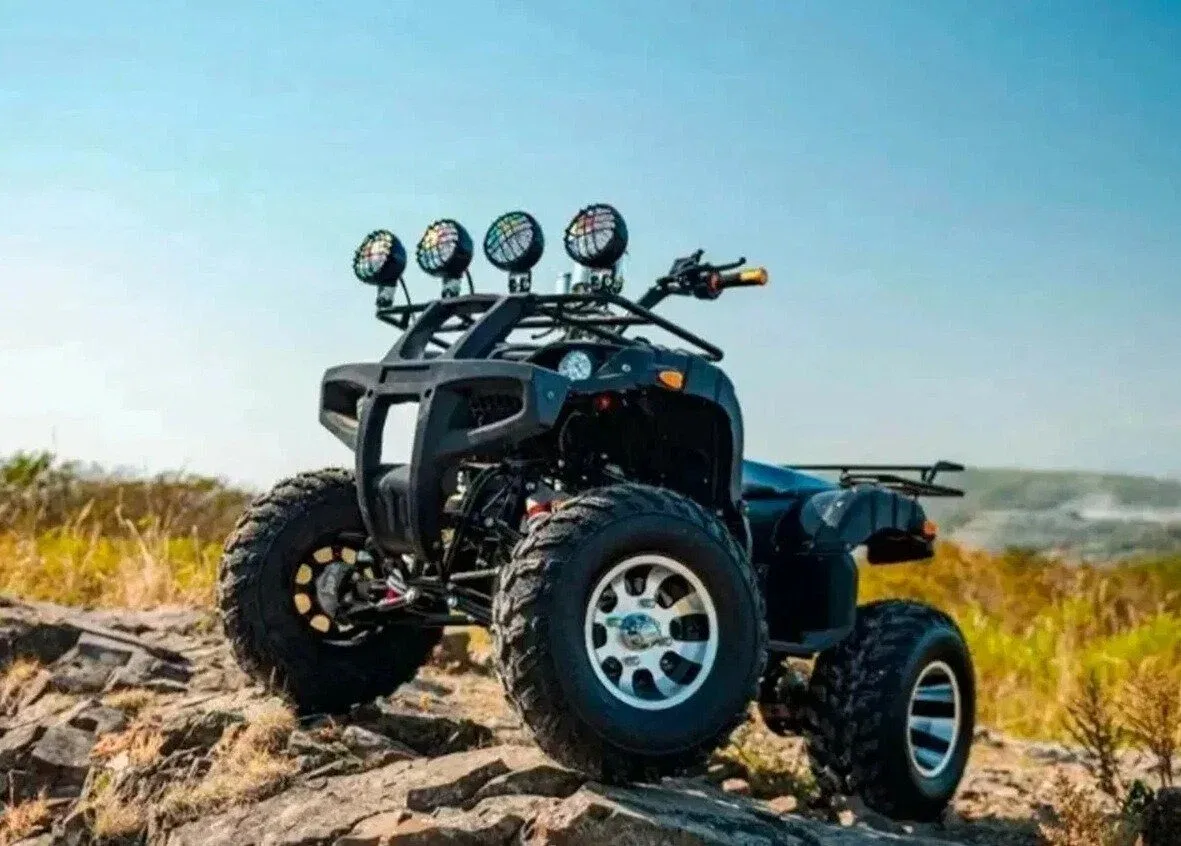 Tiger Sport 250