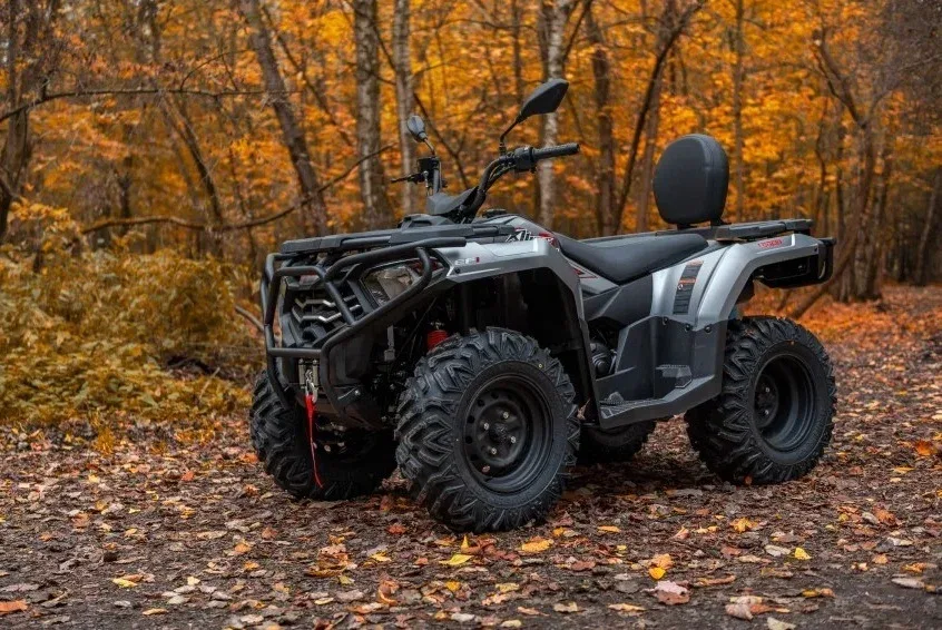 Loncin XWolf 300 Max