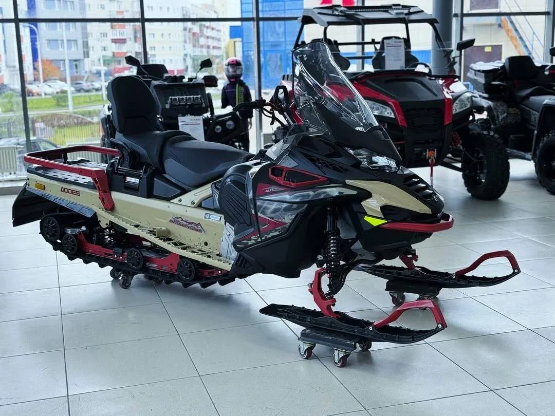 AODES (Odes) Snowcross 1000
