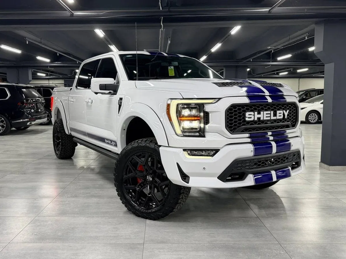 Ford F-150 XIV