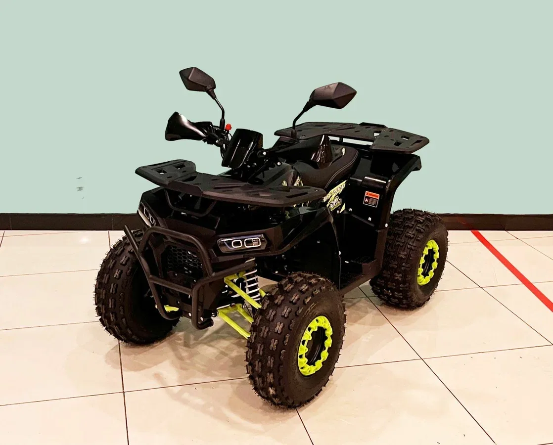 Bison AFN 125