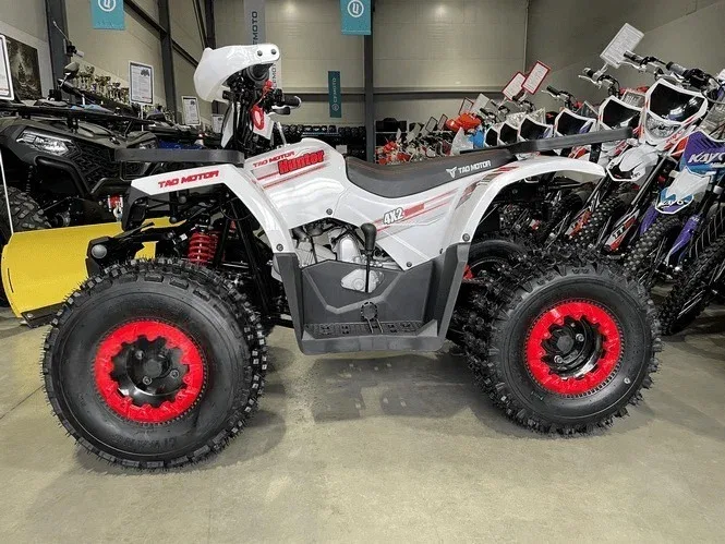 Tao Motor Hunter 125