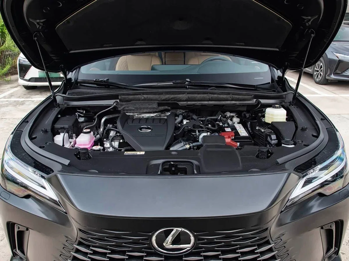 Lexus RX V