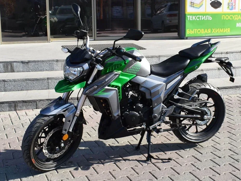 Regulmoto T-Leopard 300