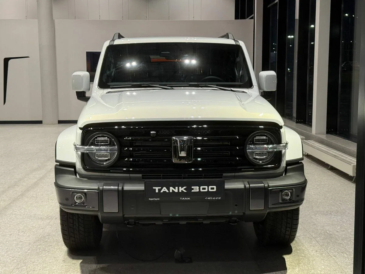 Tank 300 I