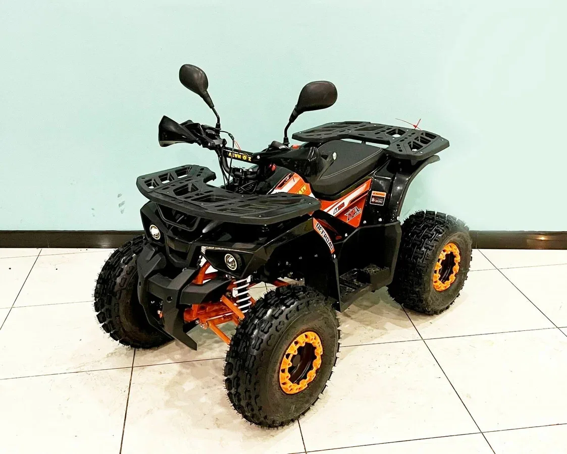 Bison Miravel 125