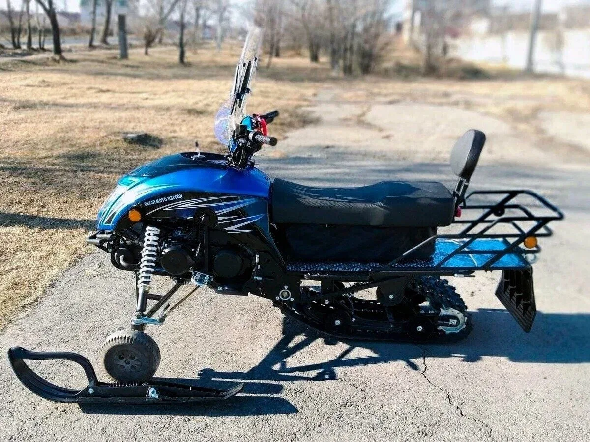Regulmoto Raccoon